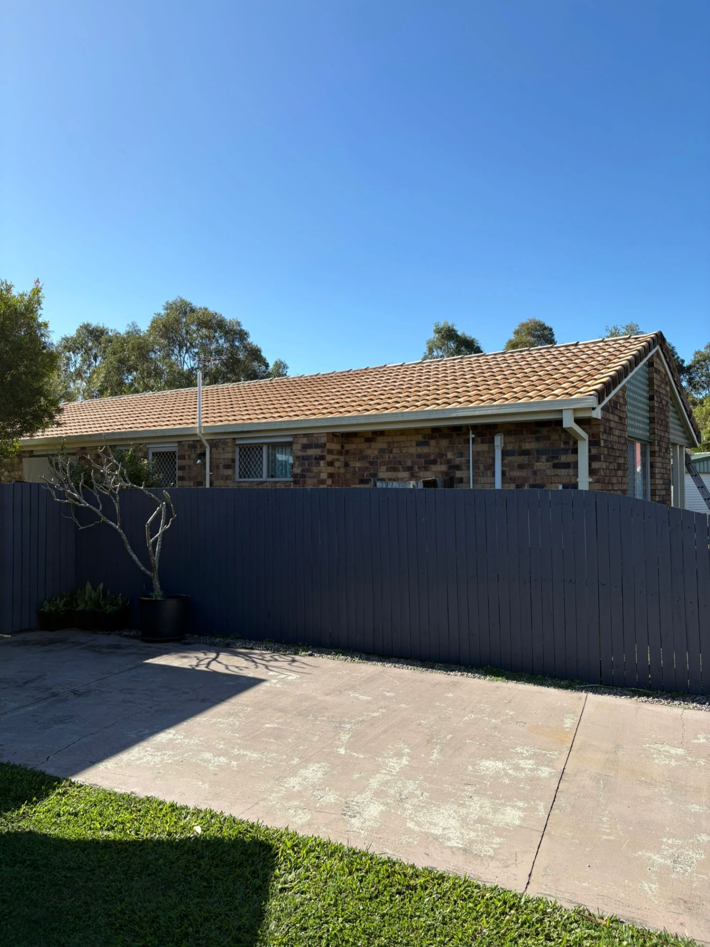 WhatsApp Image 2025-10-31 at 04.34.19_258d7b9f